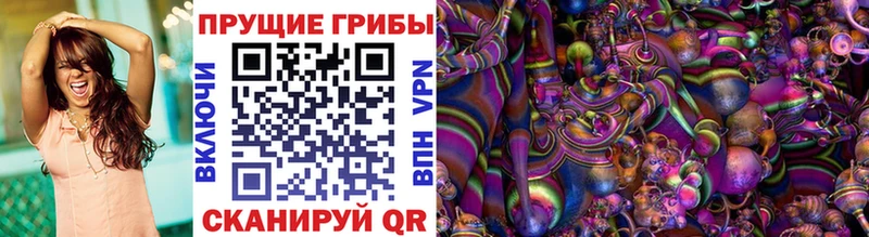 omg сайт  где можно купить   Пересвет  Псилоцибиновые грибы Psilocybe 
